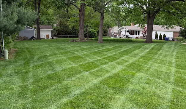 Precision lawn mowing and striping — Going Yard residential lawn care Edmonton