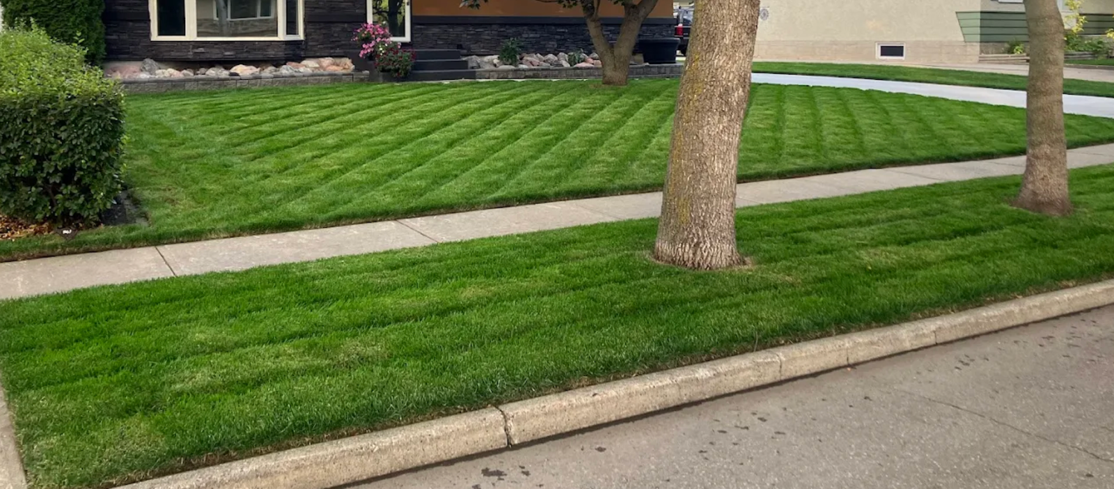 Going Yard Snow and Turf — property maintenance project Edmonton