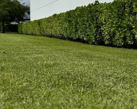 Professional lawn care and landscaping in Edmonton and St. Albert — Going Yard Snow and Turf