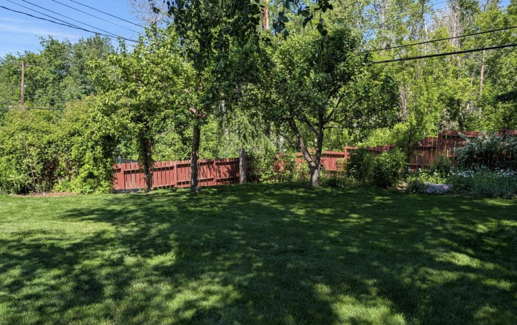 Manicured front yard — Going Yard Edmonton