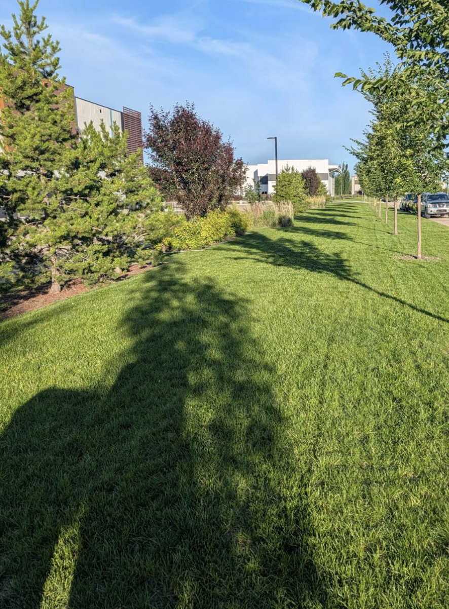 Going Yard grounds maintenance work