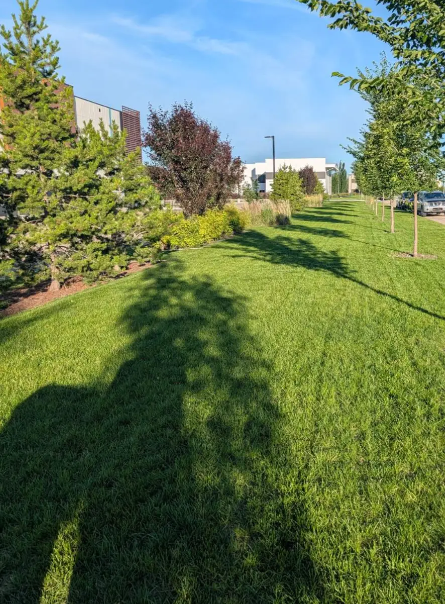 Going Yard grounds maintenance work on a commercial property in St. Albert